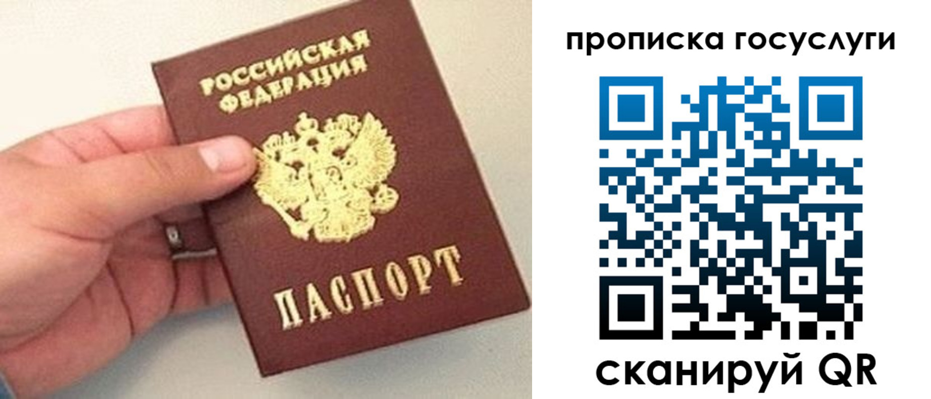 где прописаться в Новоузенске